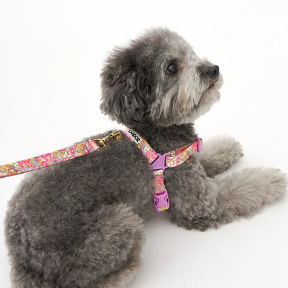 iCANDOR No-Pull Harness_Flora