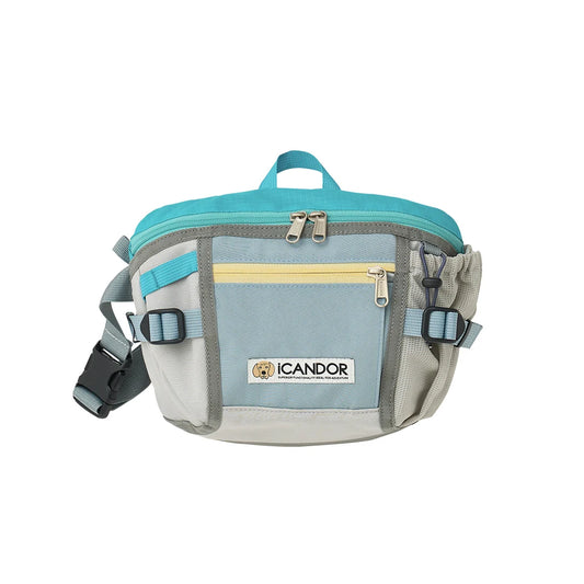 iCandor Urban Explorer Dog Walking Bag- Icy Gray
