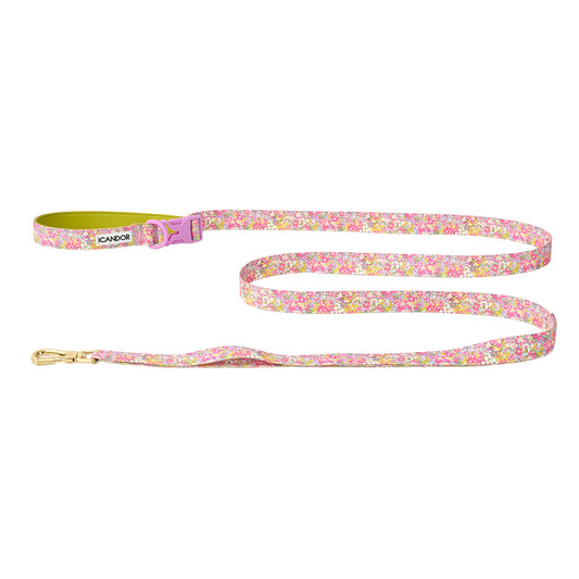 iCANDOR Gentle Leash Bolt 2m/2.5cm