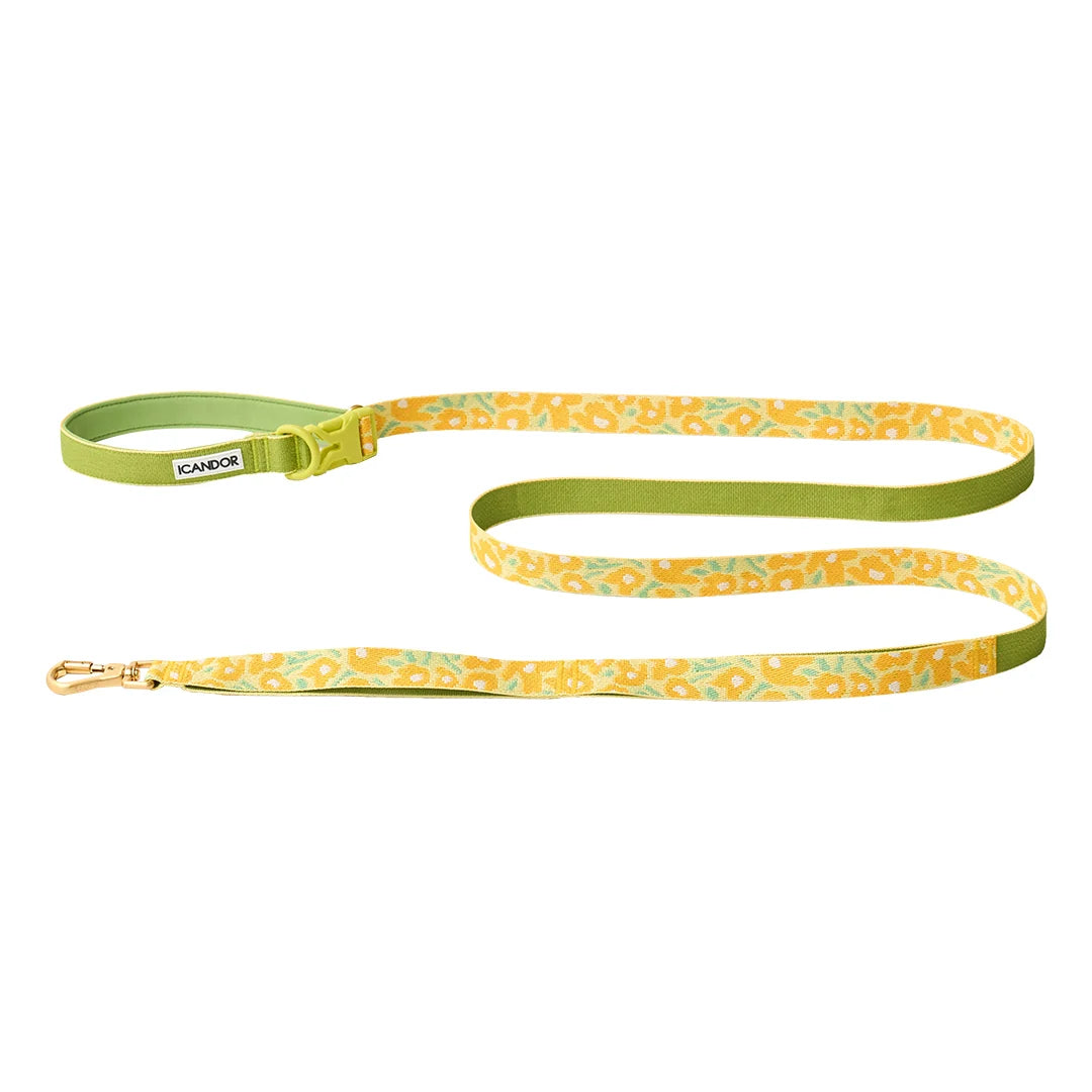 iCANDOR Gentle Leash Bolt 2m/2.5cm