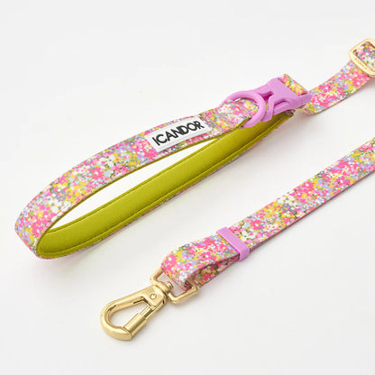 iCANDOR Gentle Leash Bolt, Long | Multi-Way Adjustable Dog Lead 1.3-2.3m