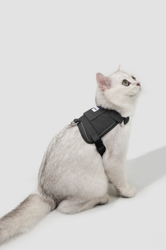Valley Series Cat Vest Dog Harness Dog Leash Set - Ash Grey