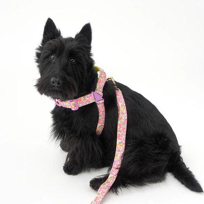 iCANDOR No-Pull Harness_Flora