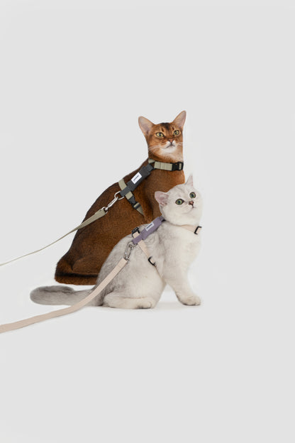 Valley Series H-Shaped Cat Harness Leash Set