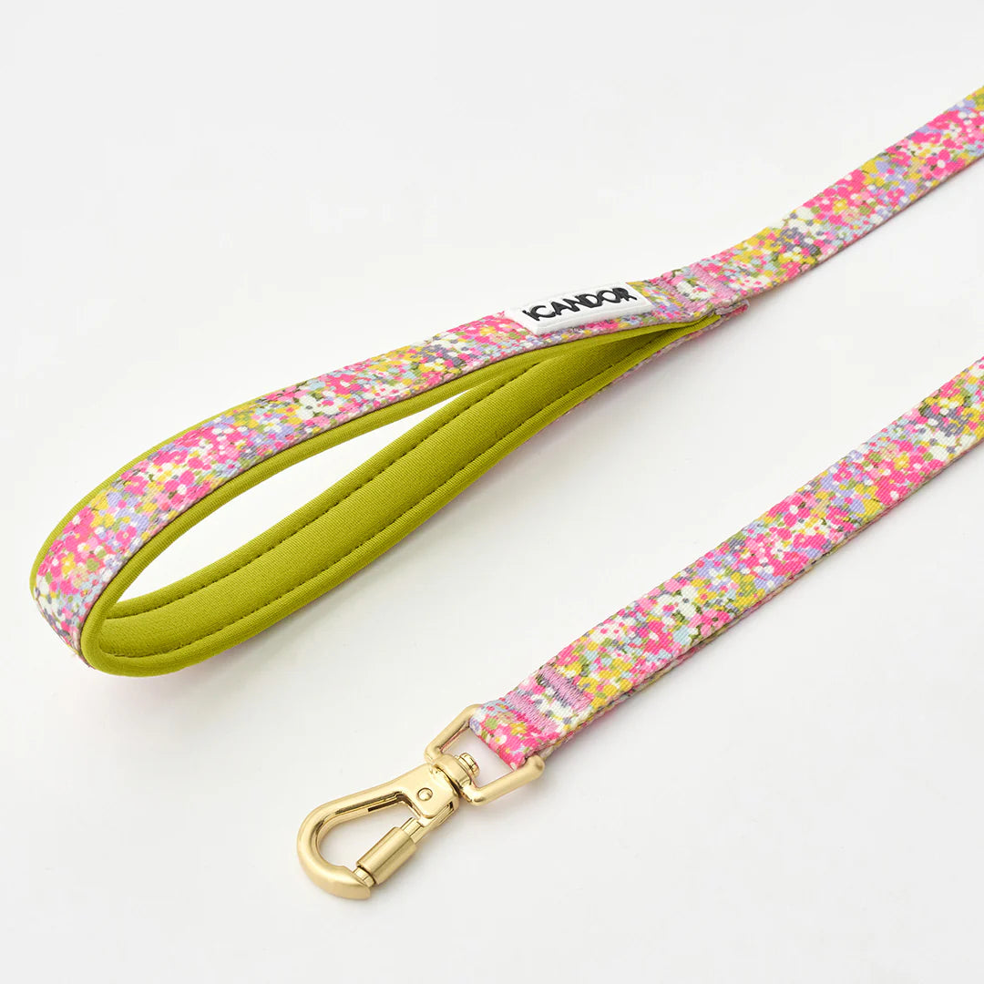 iCANDOR Gentle Leash Bolt (1.6m/15mm)