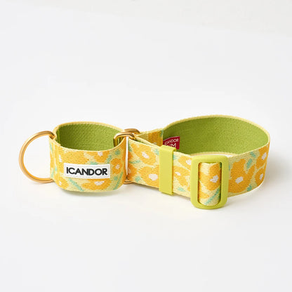 iCANDOR Smooth Martingale Collar 38mm