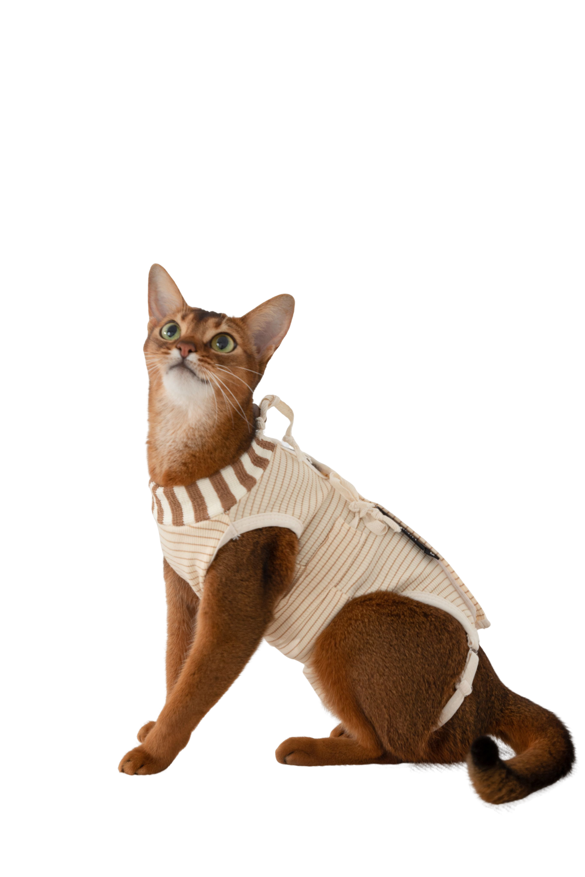 Hidream Cat Anti-Escape Recovery Suit