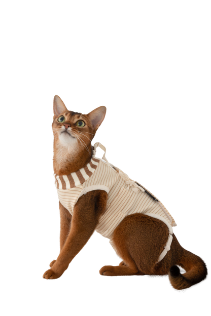 Hidream Cat Anti-Escape Recovery Suit