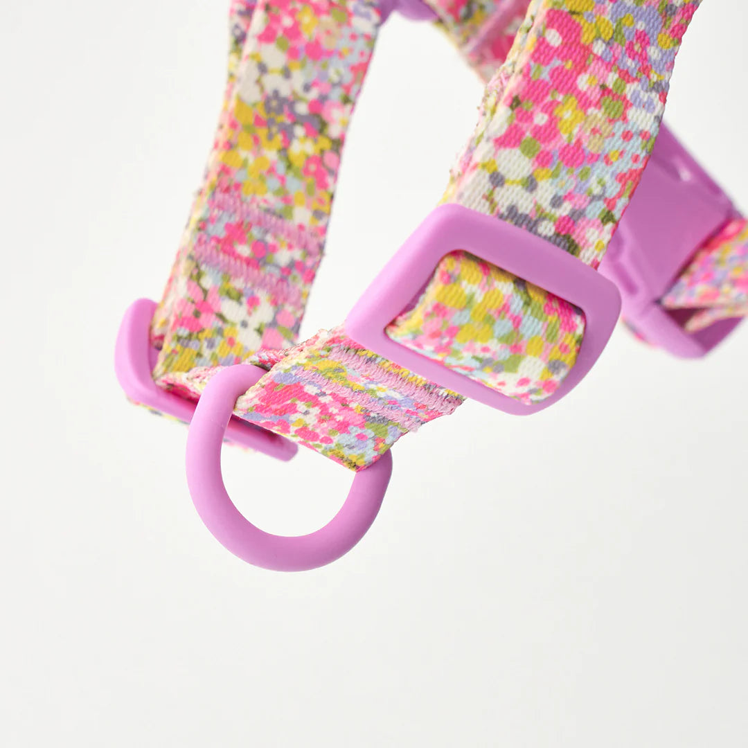 iCANDOR No-Pull Harness_Flora
