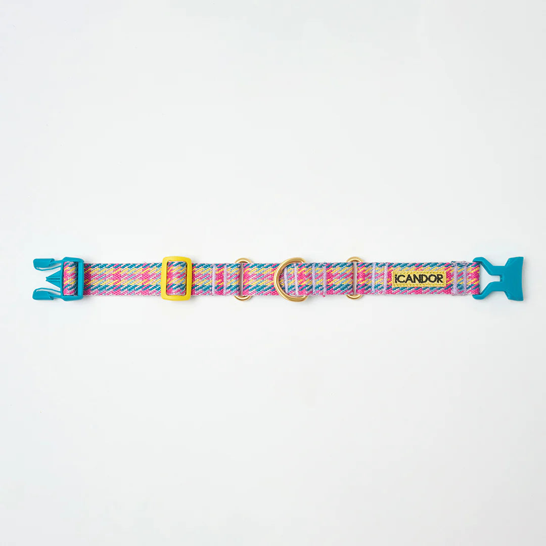 iCANDOR Martingale Collar, Buckle - Edinburgh Check