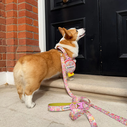 iCANDOR No-Pull Harness_Flora
