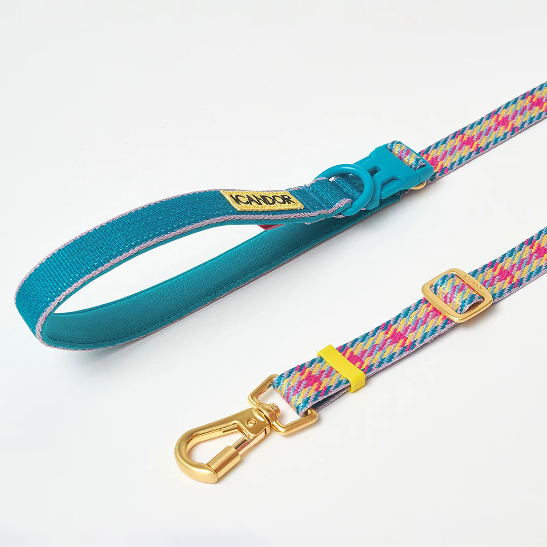 iCANDOR Gentle Leash Bolt, Long | Multi-Way Adjustable Dog Lead 1.3-2.3m