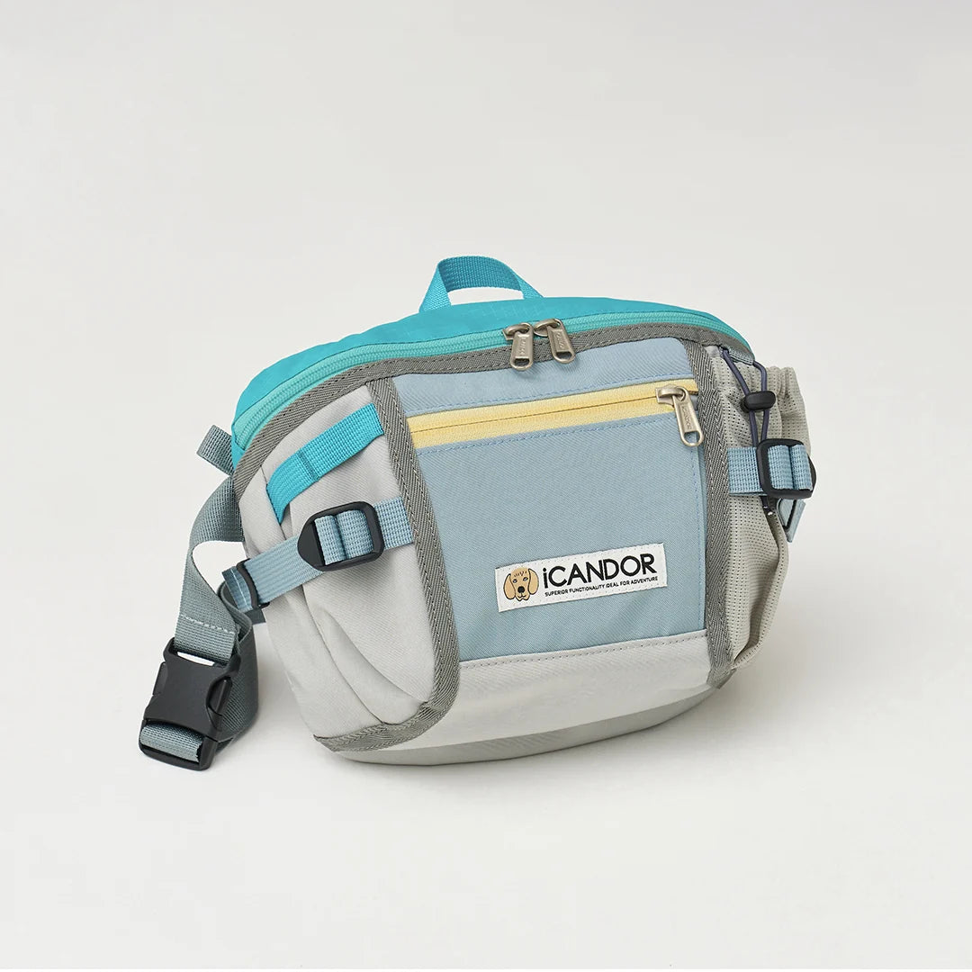iCandor Urban Explorer Dog Walking Bag- Icy Gray