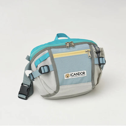 iCandor Urban Explorer Dog Walking Bag- Icy Gray
