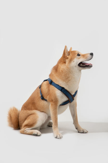 Bobo Series X-Style Dog Harness - Blue