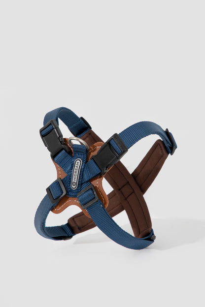 Bobo Series X-Style Dog Harness - Blue