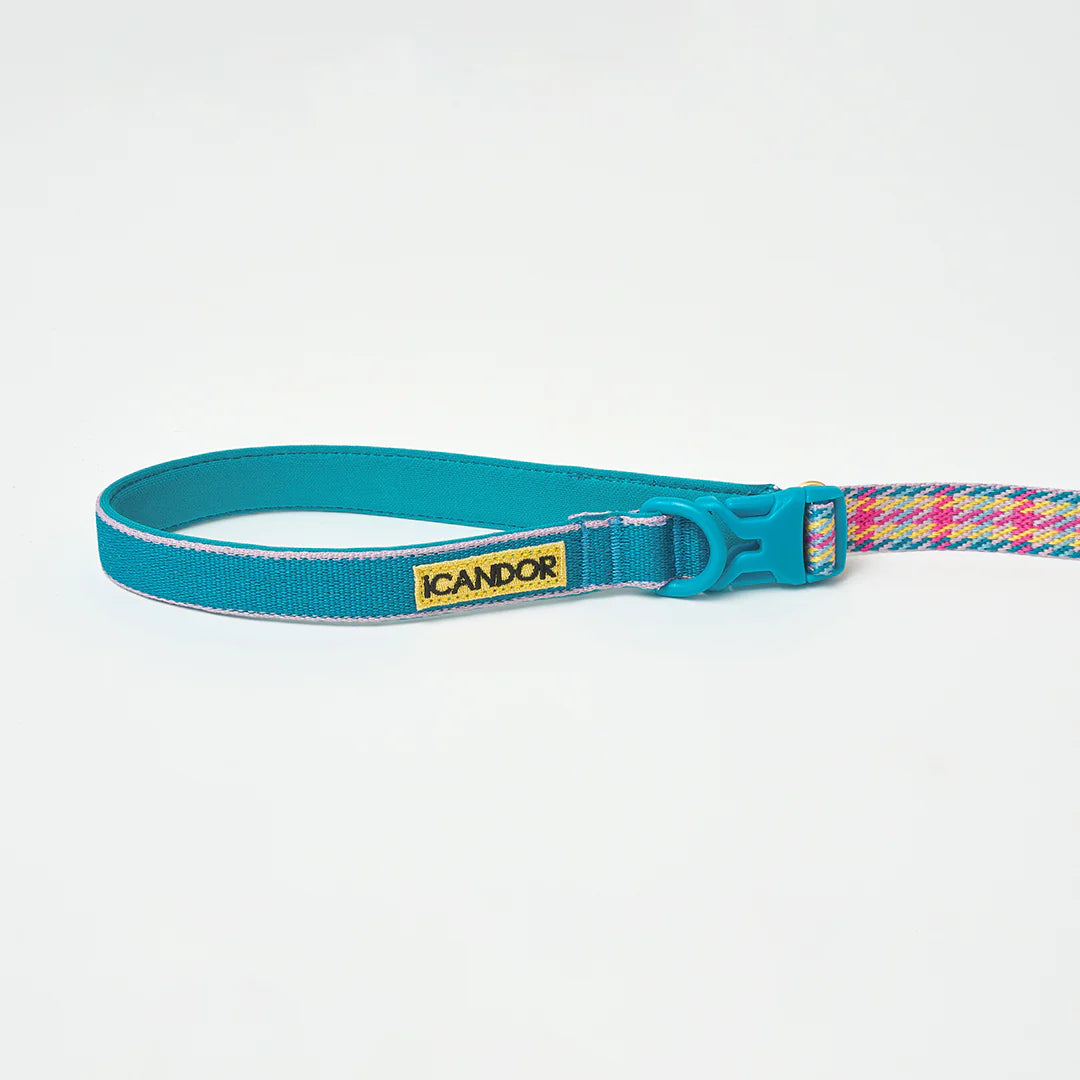 iCANDOR Gentle Leash Bolt, Long | Multi-Way Adjustable Dog Lead 1.3-2.3m
