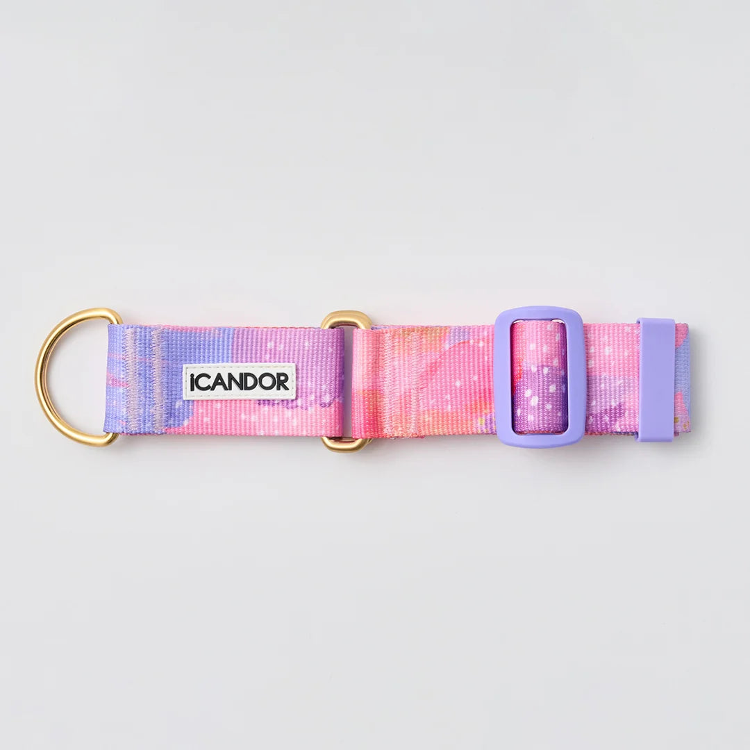 iCANDOR Smooth Martingale Collar 38mm