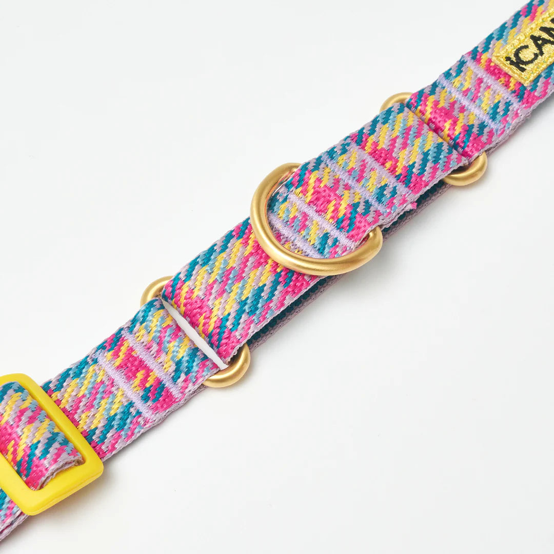 iCANDOR Martingale Collar, Buckle - Edinburgh Check