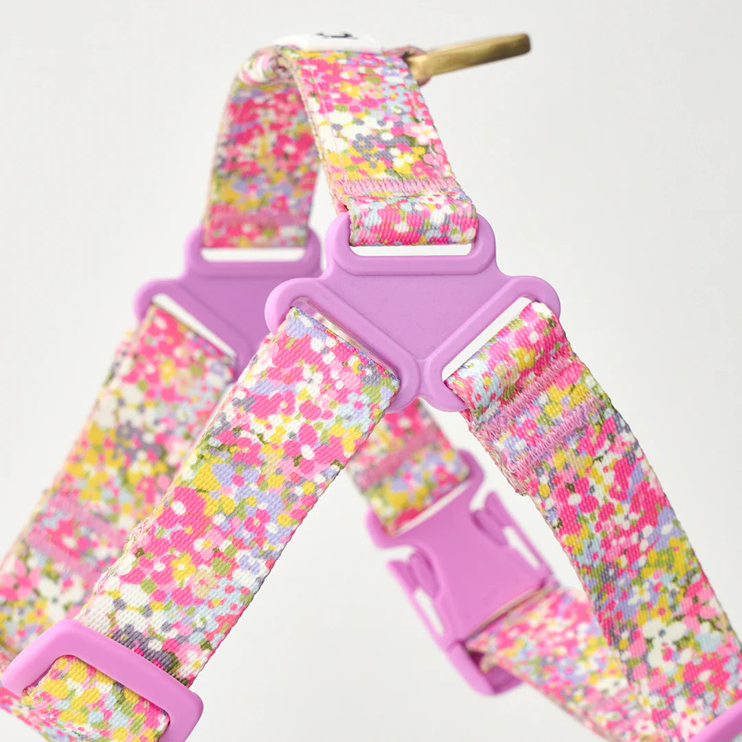 iCANDOR No-Pull Harness_Flora