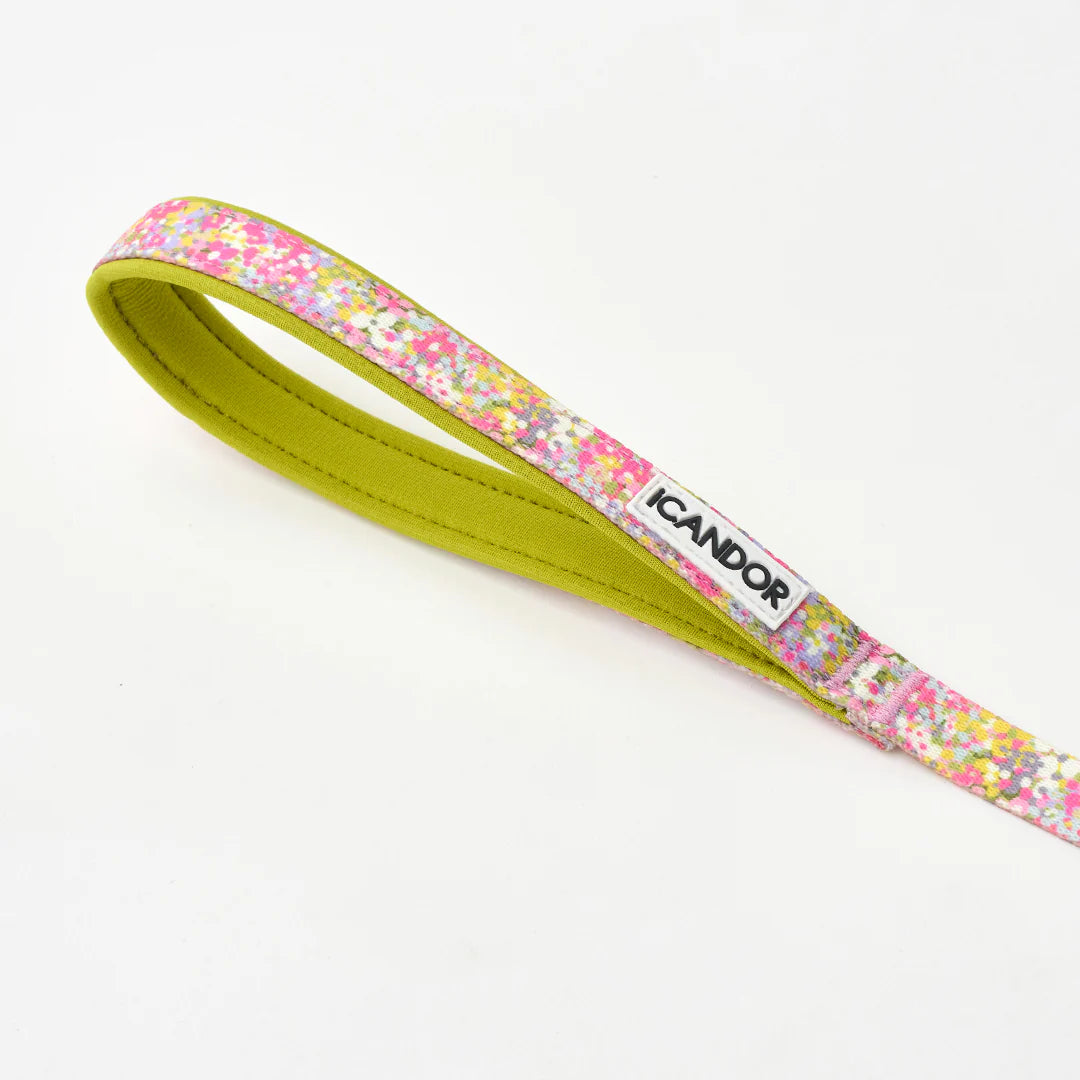 iCANDOR Gentle Leash Bolt (1.6m/15mm)
