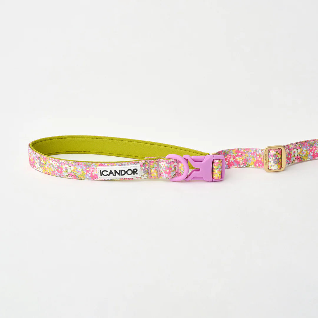 iCANDOR Gentle Leash Bolt, Long | Multi-Way Adjustable Dog Lead 1.3-2.3m