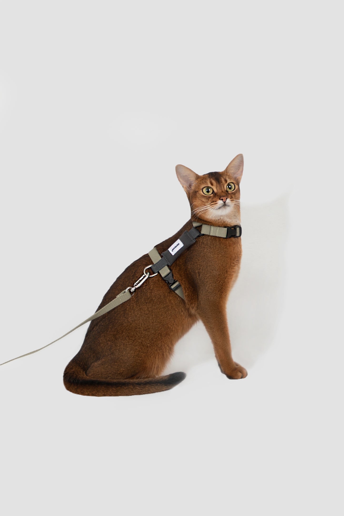 Valley Series H-Shaped Cat Harness Leash Set