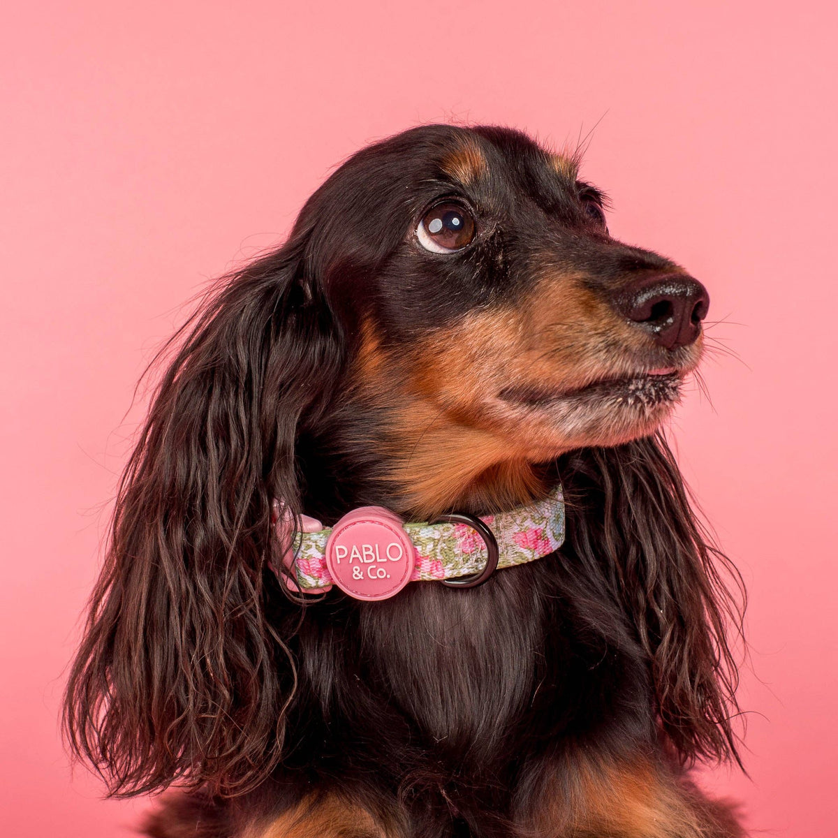 Flora & Fern: Collar