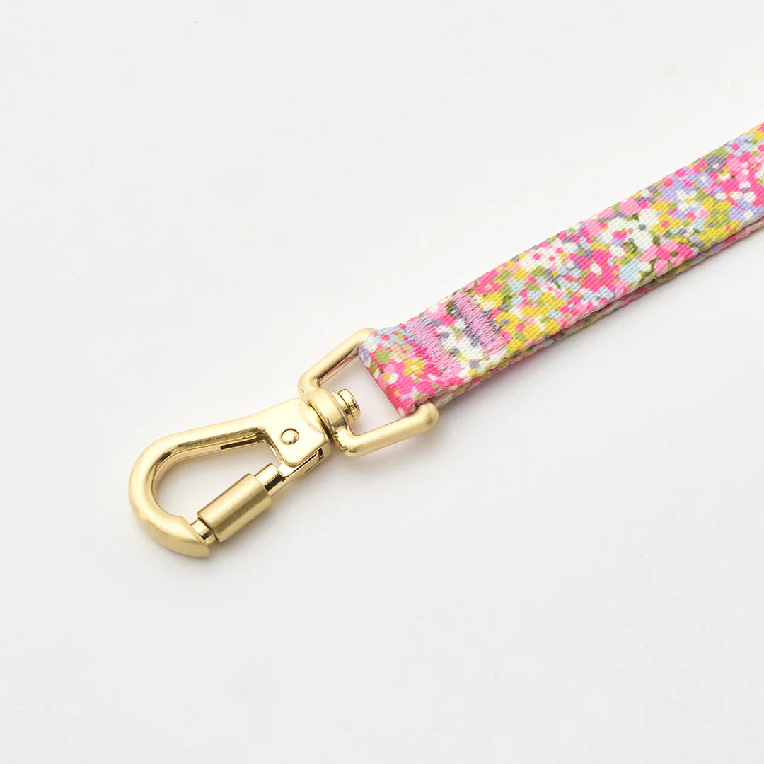 iCANDOR Gentle Leash Bolt (1.6m/15mm)