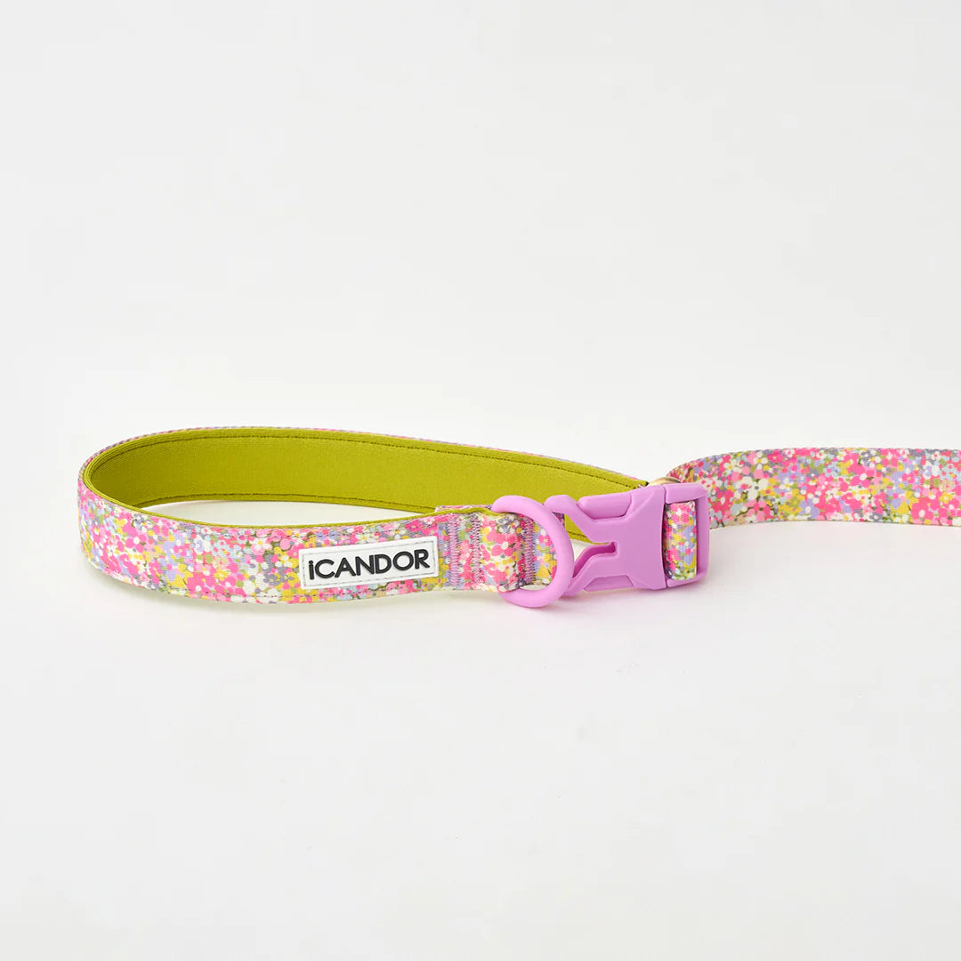 iCANDOR Gentle Leash Bolt 2m/2.5cm