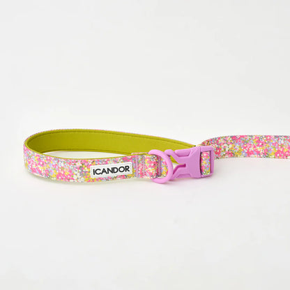 iCANDOR Gentle Leash Bolt 2m/2.5cm