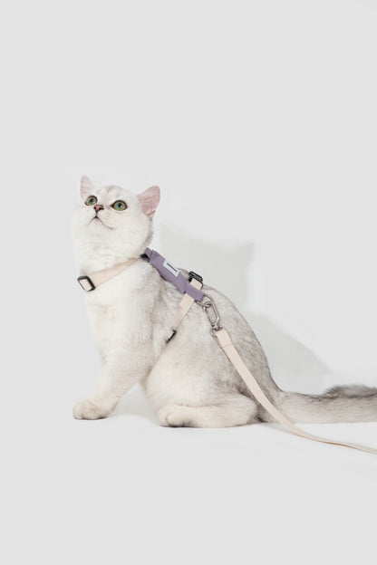 Valley Series H-Shaped Cat Harness Leash Set