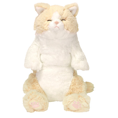 LYING CAT SLEEPING FACE STUFFED TOY M CR