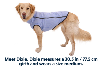 (Discontinued Style) Ruffwear Hemp Hound™ Dog Sweater Heliotrope Purple
