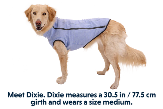 (Discontinued Style) Ruffwear Hemp Hound™ Dog Sweater Heliotrope Purple