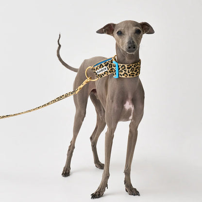 iCANDOR Smooth Martingale Collar 38mm