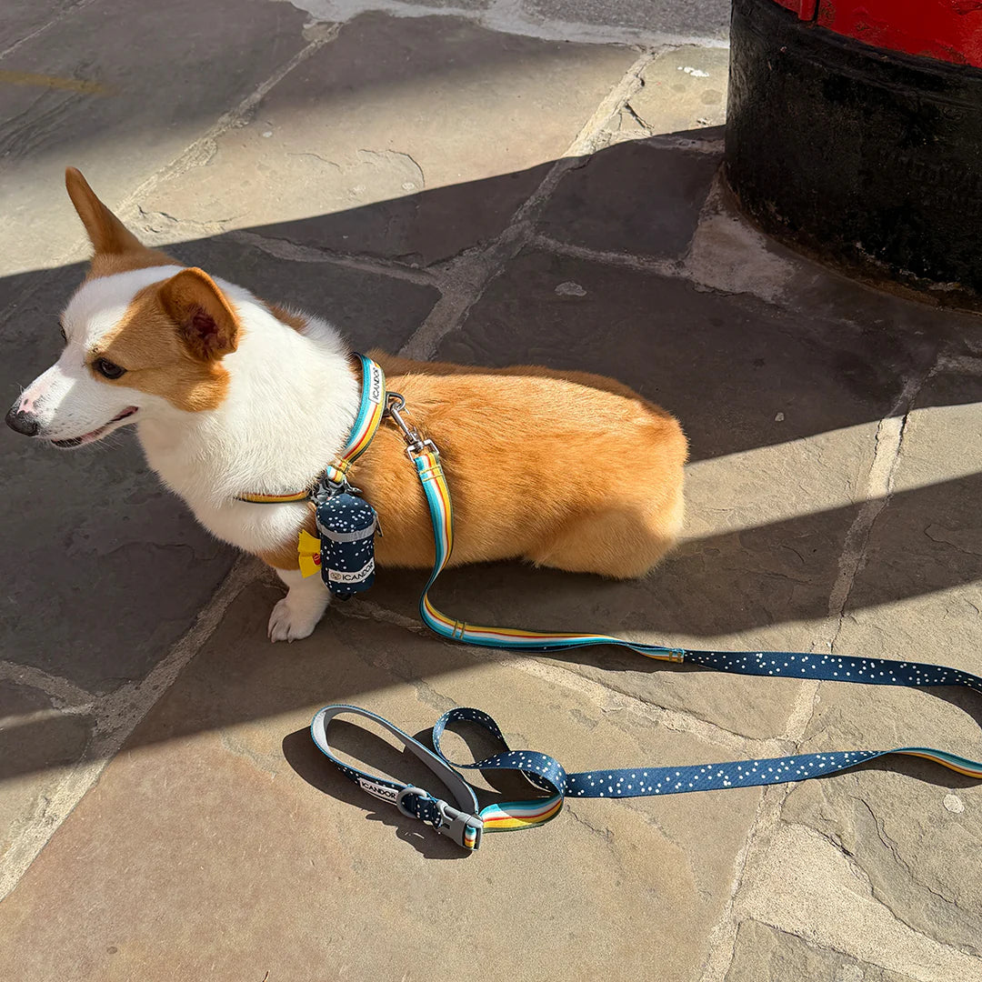ICANDOR Pooch Pouch Poop Bag Holder