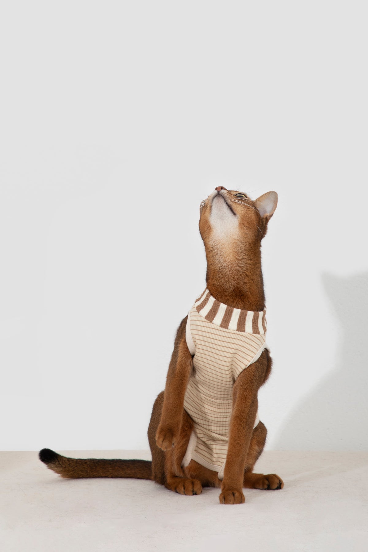 Hidream Cat Anti-Escape Recovery Suit