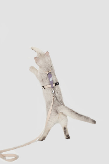 Valley Series H-Shaped Cat Harness Leash Set