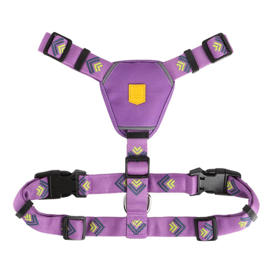 Northern Lights Dog Harness