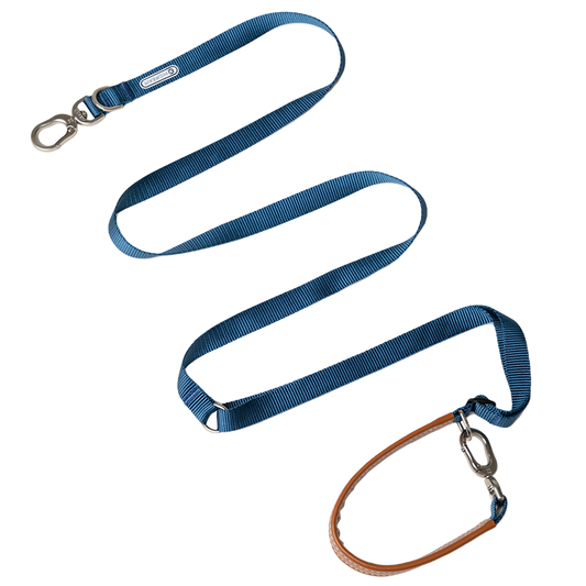 Bobo Series Multi-functional Dog Leash - Blue