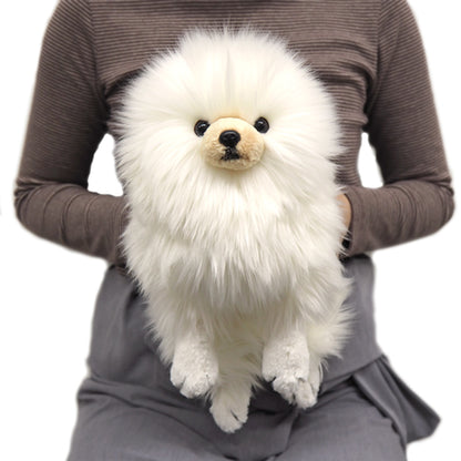 LYING DOG STUFFED TOY S POMERANIAN CR