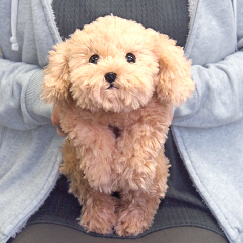 LYING DOG STUFFED TOY S TOY POODLE BE