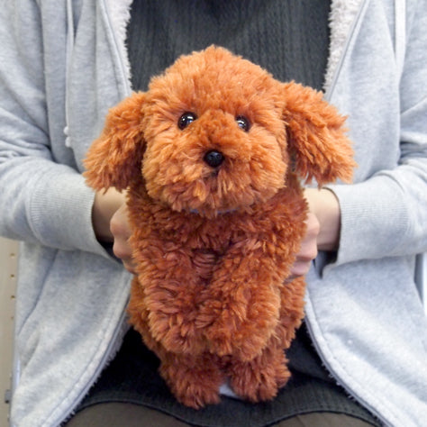 LYING DOG STUFFED TOY S TOY POODLE BR