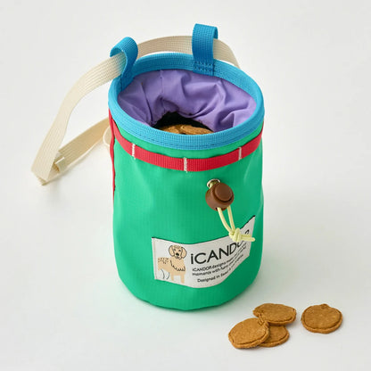 iCandor Munchie Minder Treat Pouch _Cool Green