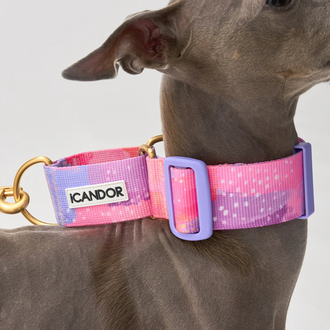 iCANDOR Smooth Martingale Collar 38mm
