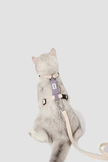 Valley Series H-Shaped Cat Harness Leash Set