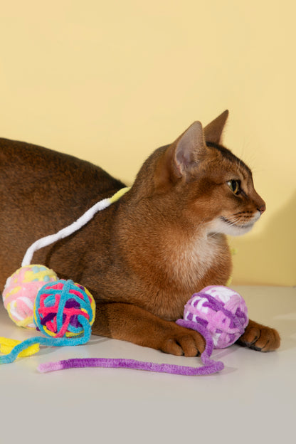 Cat Rope Ball Toy – Assorted Colours