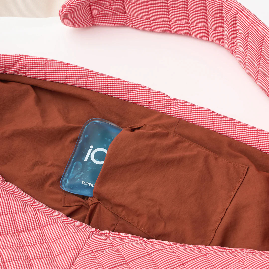 iCANDOR Dumpling Bag_Iconic Red