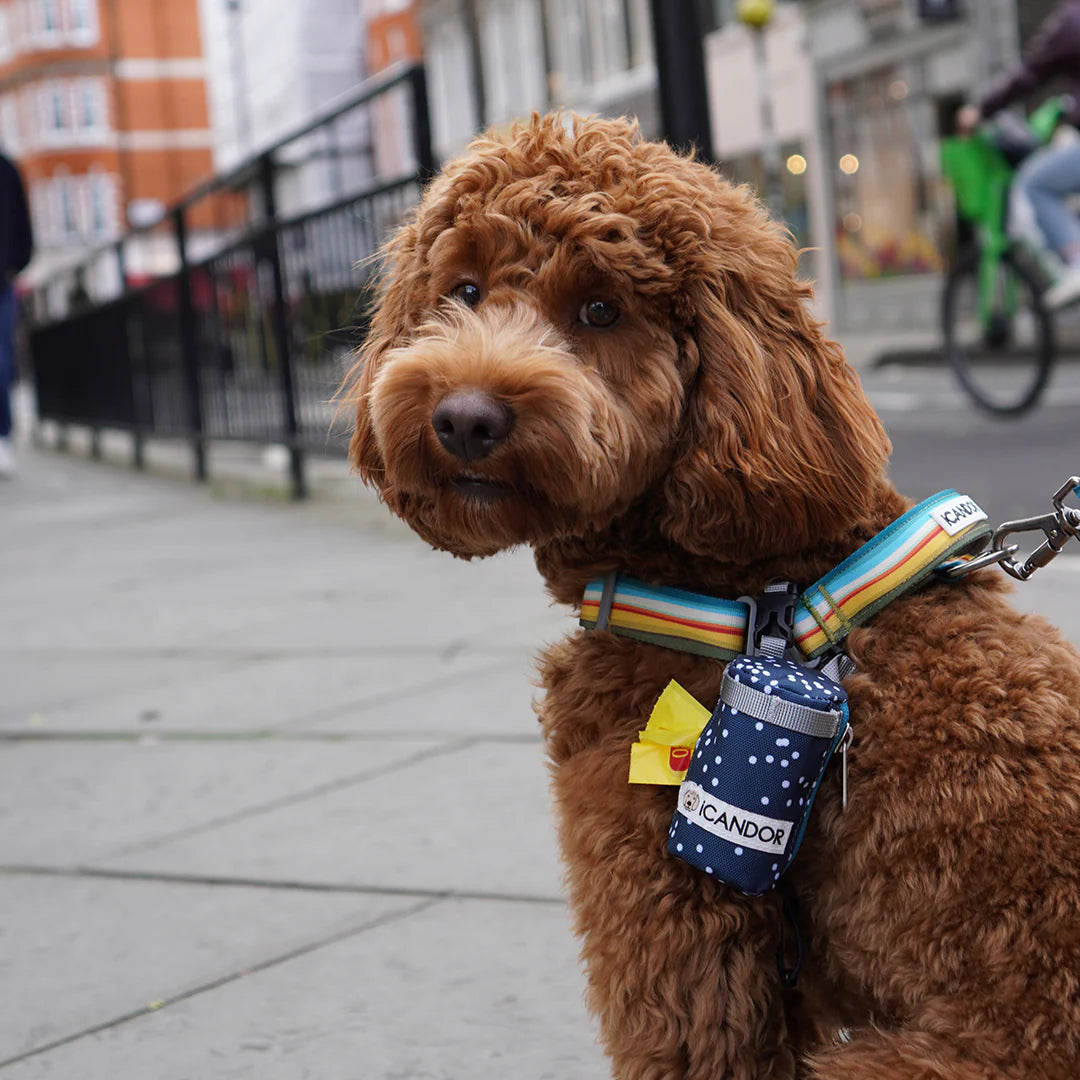 ICANDOR Pooch Pouch Poop Bag Holder